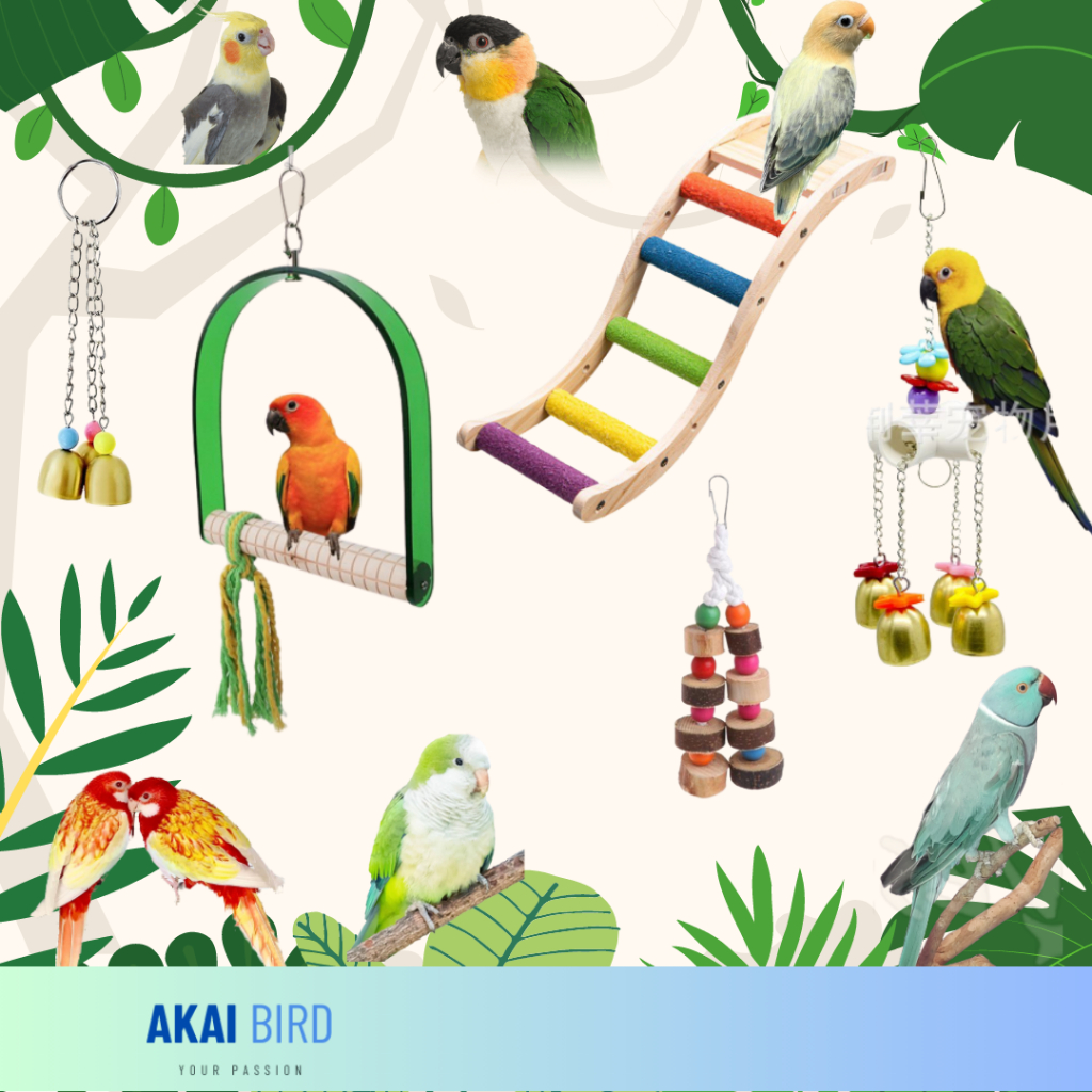 Các Loại Đồ Chơi Cho Vẹt Giúp Giảm Stress...