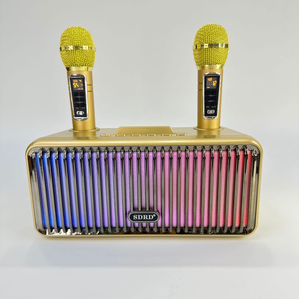 Loa Karaoke Bluetooth SD319 Pro Tặng Kèm 2 Mic Không Dây Cao Cấp, Âm Thanh Sống Động, Có Đèn Nháy. Pin Cực Trâu