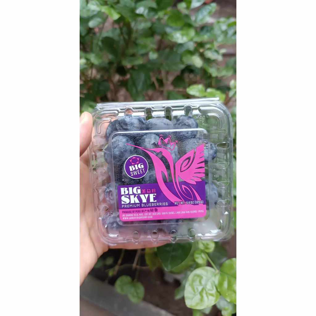 Việt quất tươi Peru 125g