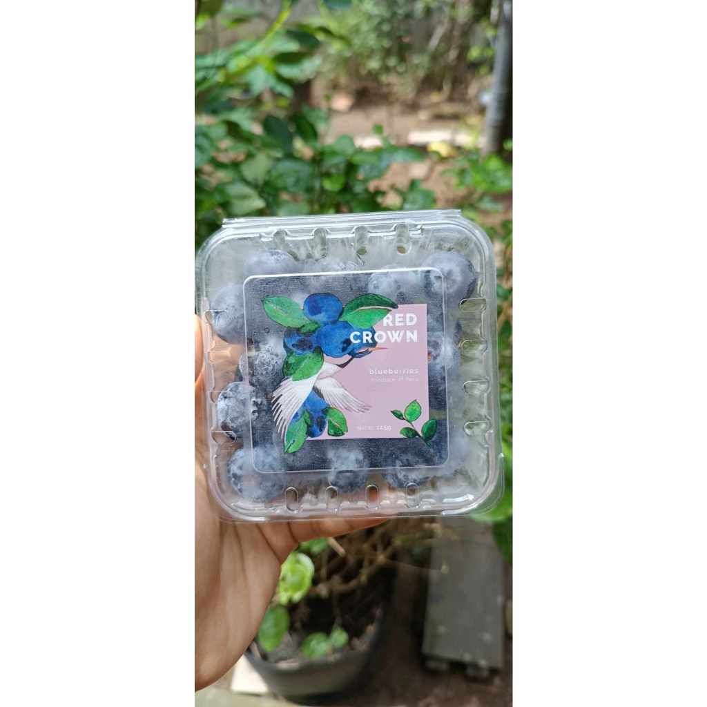 Việt quất tươi PERU hộp 125g