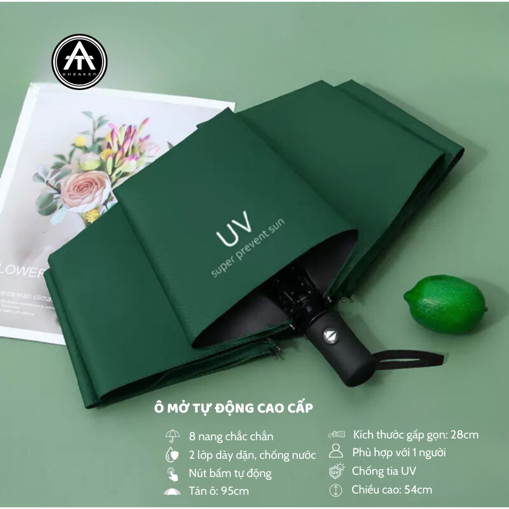 Ô 8 NANG TỰ ĐỘNG THÔNG MINH