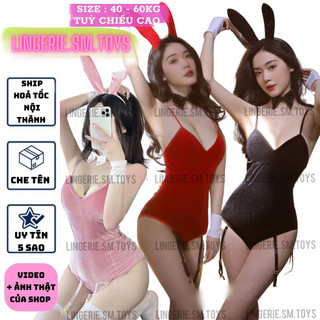 LL2251 Cosplay Chị Thỏ Ngọc + Kẹp Vớ Sexy | Bunny Set Bé Thỏ