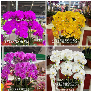 Cành hoa lan hồ điệp cao su 9 bông LOẠI SỊN,cành hoa Lan thân đốm đủ màu siêu sang