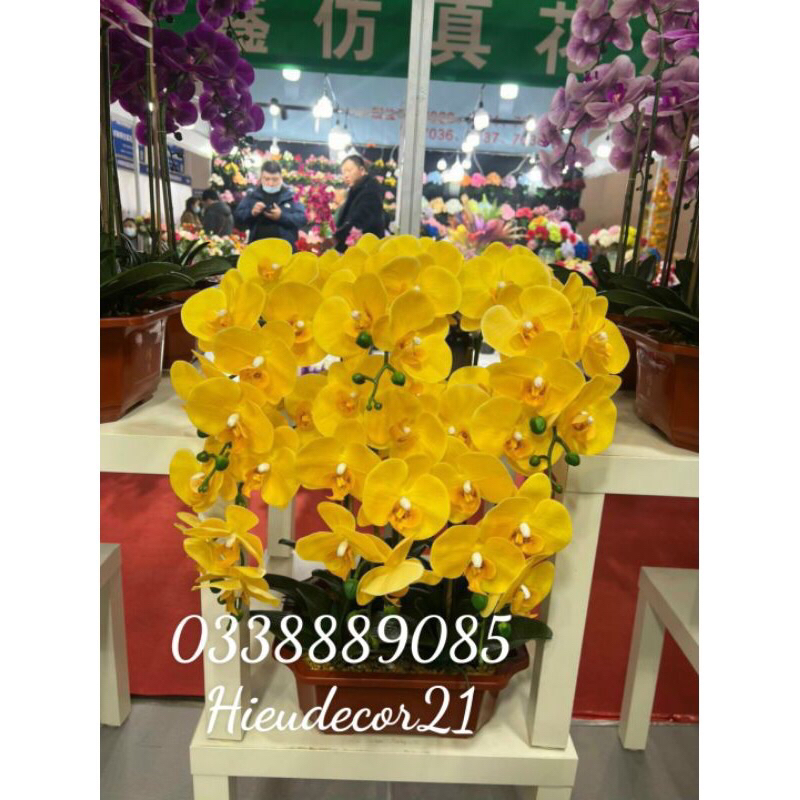 Cành hoa lan hồ điệp cao su 9 bông LOẠI SỊN,cành hoa Lan thân đốm đủ màu siêu sang