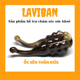 ốc sên quả khóm - bằng sừng trâu - giúp dò huyệt , day huyệt , ân huyệt massage cân cơ - trong diện chuẩn