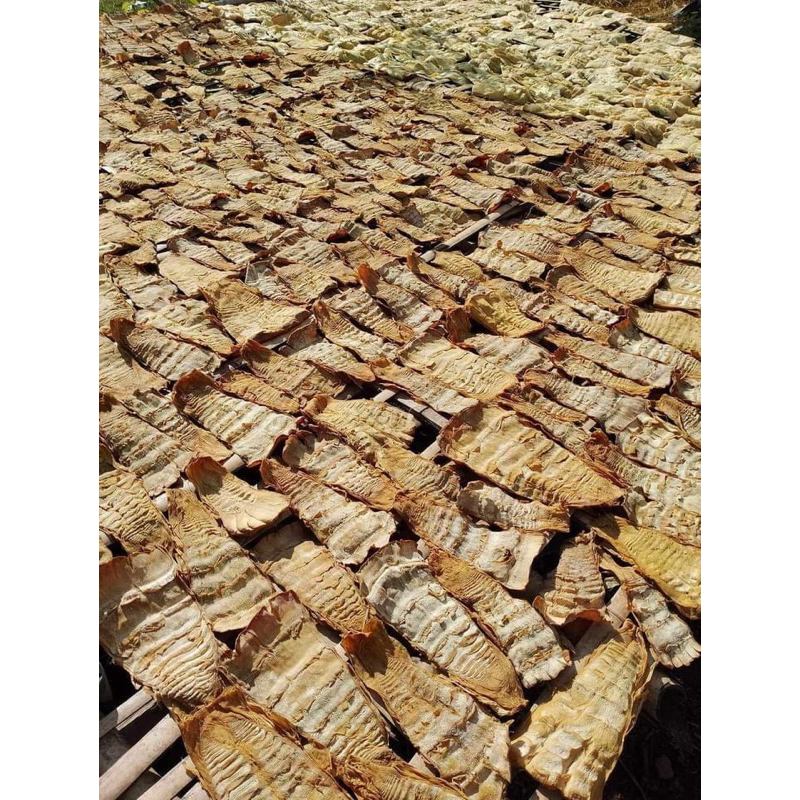 Măng Nứa Rừng Tây Bắc. loại 1 . hàng mới làm. màu vàng đẹp. ko chất bảo quản