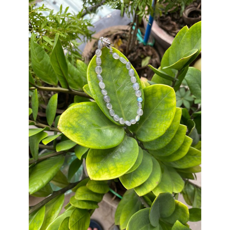 Vòng Labradorite khoá bạc 925 hấp dẫn,tự tin,quyến rũ