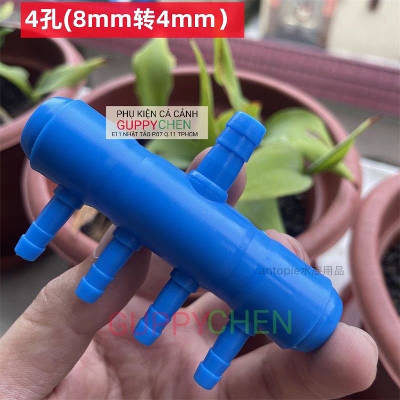 Van nhựa chia oxi cho hồ cá 6-8-10 đầu