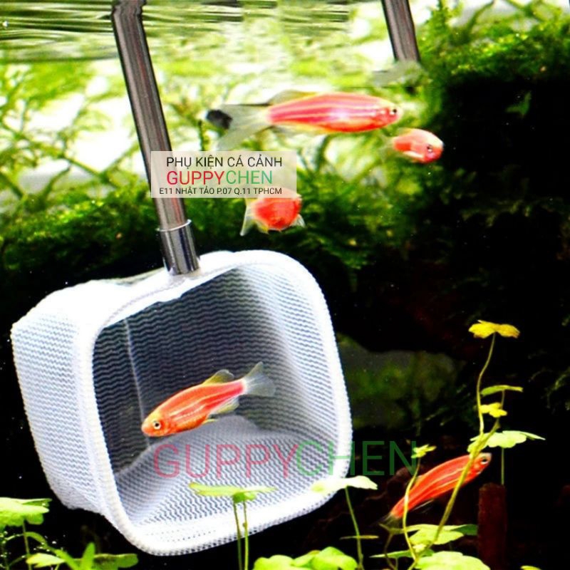 Vợt tép 3D chống sốc cho hồ cá hồ tép hồ thủy sinh