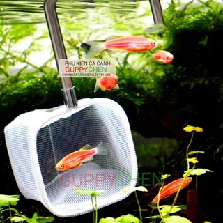Vợt tép 3D chống sốc cho hồ cá hồ tép hồ thủy sinh