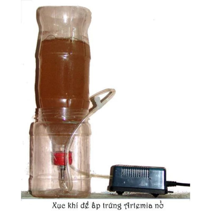 Combo Bộ Ấp Artemia Kèm Máy Sủi Oxi Cho Cá