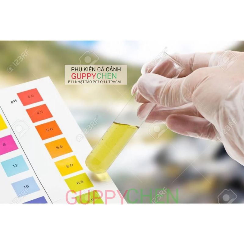 Giấy quỳ đo PH cho hồ cá