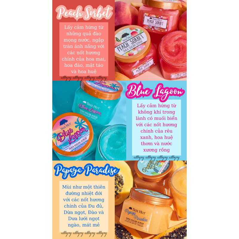 Allbyvy | Tẩy tế bào chết body TREE HUT