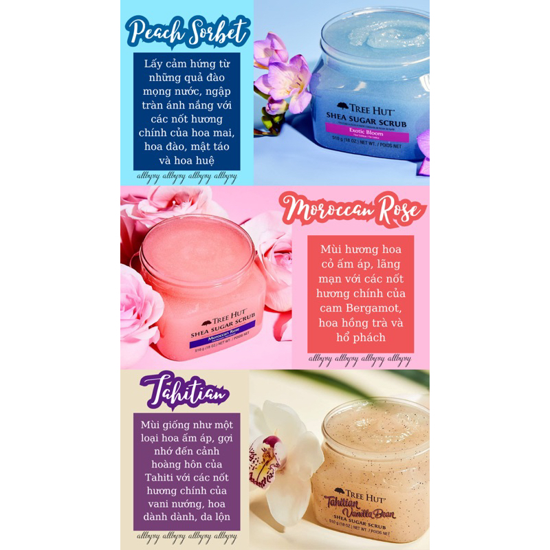 Allbyvy | Tẩy tế bào chết body TREE HUT