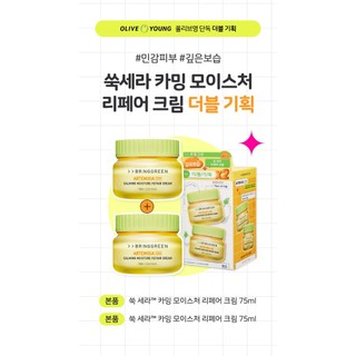 Kem Dưỡng Da Ngải Cứu Bringgreen Artemisia Calming Moisture Repair Cream 75ml