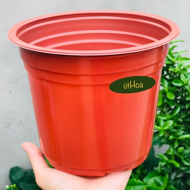 Chậu nhựa trồng hoa