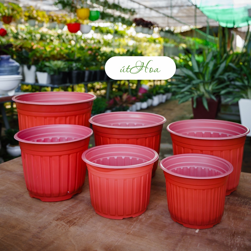 Chậu nhựa trồng hoa