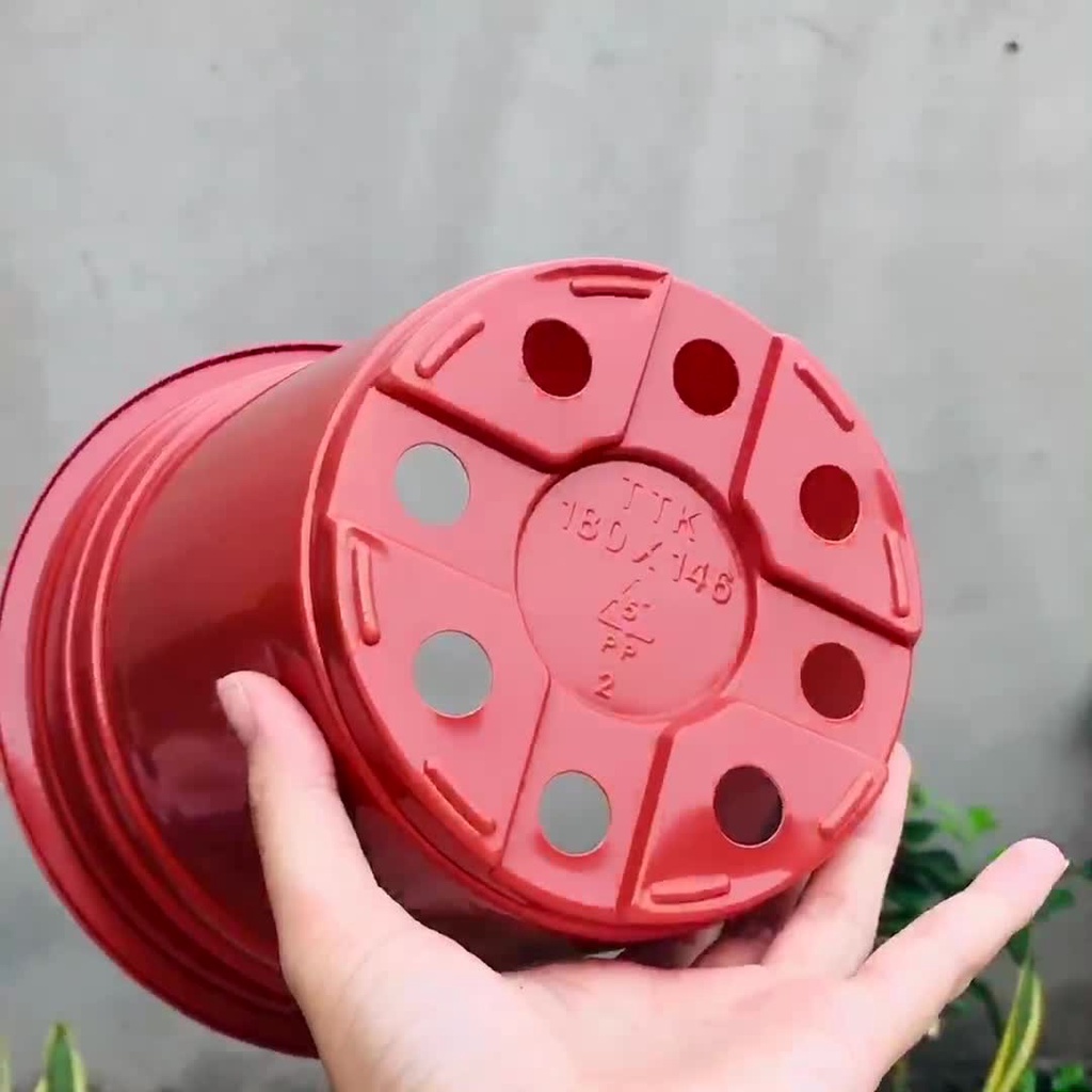 Chậu nhựa trồng hoa