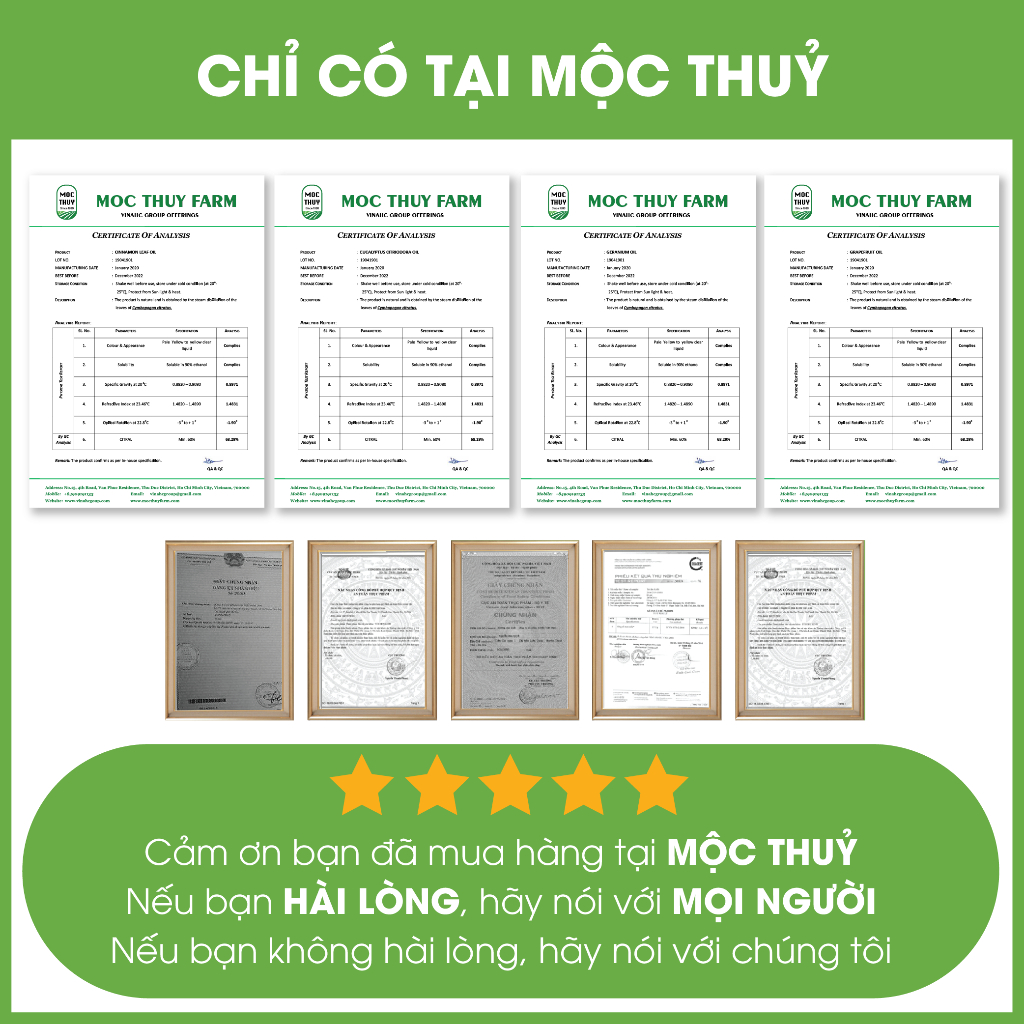 Tinh dầu Mơ nguyên chất hữu cơ MỘC THỦY khử mùi làm thơm phòng thư giãn 1L/ 5L - Đạt chuẩn chất lượng