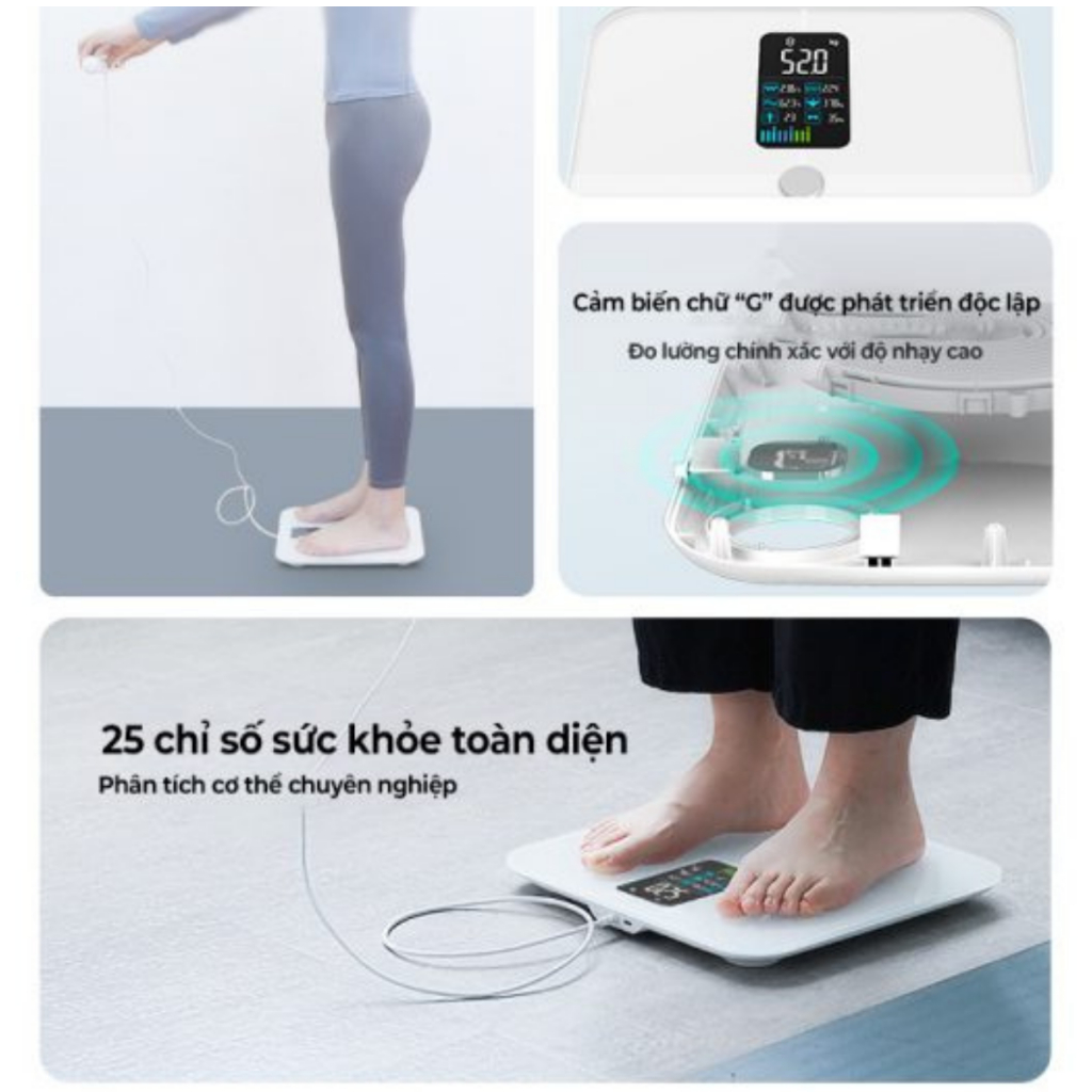 Cân điện tử sức khỏe thông minh Rapido RSB-06WS kết nối bluetooth, đo 25 chỉ số, bảo hành 12 tháng