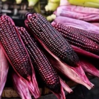 1kg ngô tím ngâm rượu loại ngon chuẩn điện biên