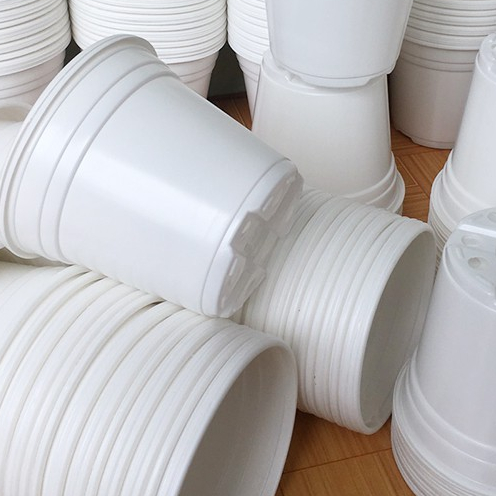 Chậu nhựa trồng hoa