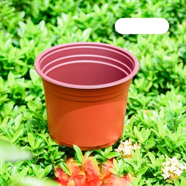 Chậu nhựa trồng hoa