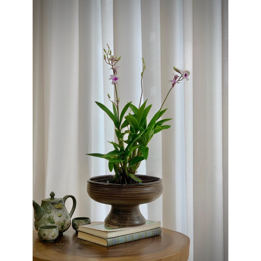 Ang Gốm Chậu Đa Năng Trồng Thủy Tiên Cắm Hoa Nghệ Thuật Ikebana Gốm Sứ Bát Tràng