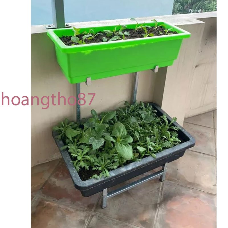 Giá đỡ khay trồng rau thông minh 2 tầng ban công chung cư sân thượng - GiongRauSach