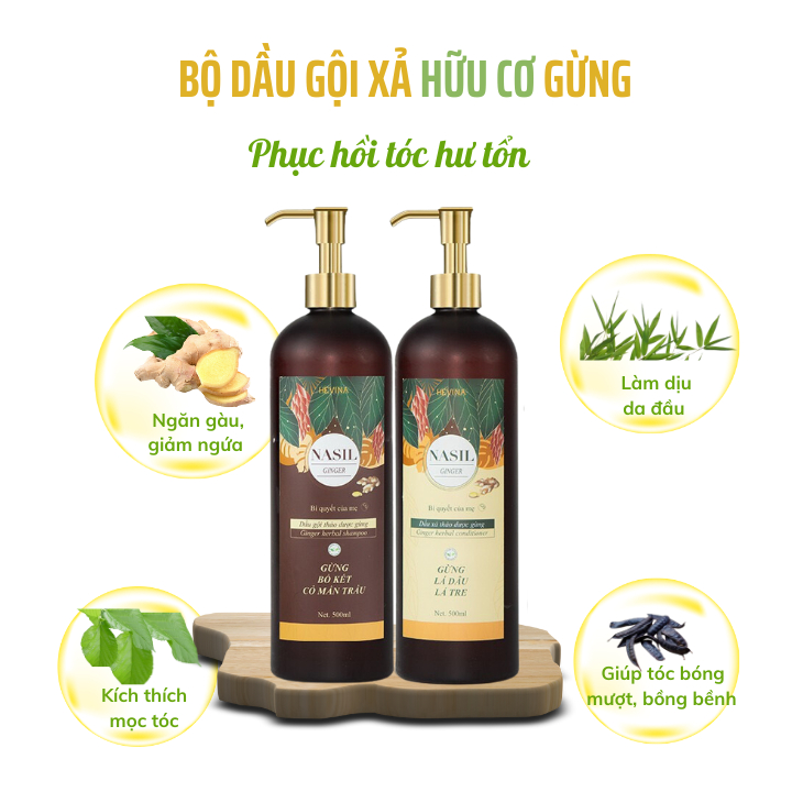 Dầu Gội Gừng HEVINA Nasil thảo dược phục hồi tóc hư tổn