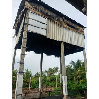 5kg Phân Dơi Nguyên Chất