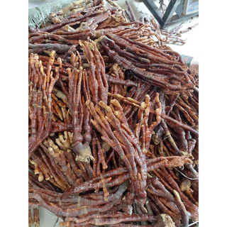 Nấm linh chi sừng hươu 500g - 1kg