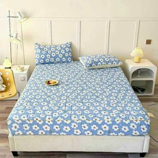 COMBO VỎ GỐI 3 LỚP