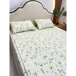 COMBO VỎ GỐI 3 LỚP