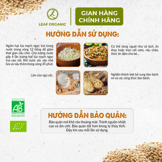 Hạt lúa mạch ngọc trai hữu cơ Markal 500g