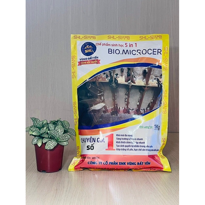 Men Vi Sinh Nhà Yến-Mùi nhà yến-Men vi sinh Bio Microcer