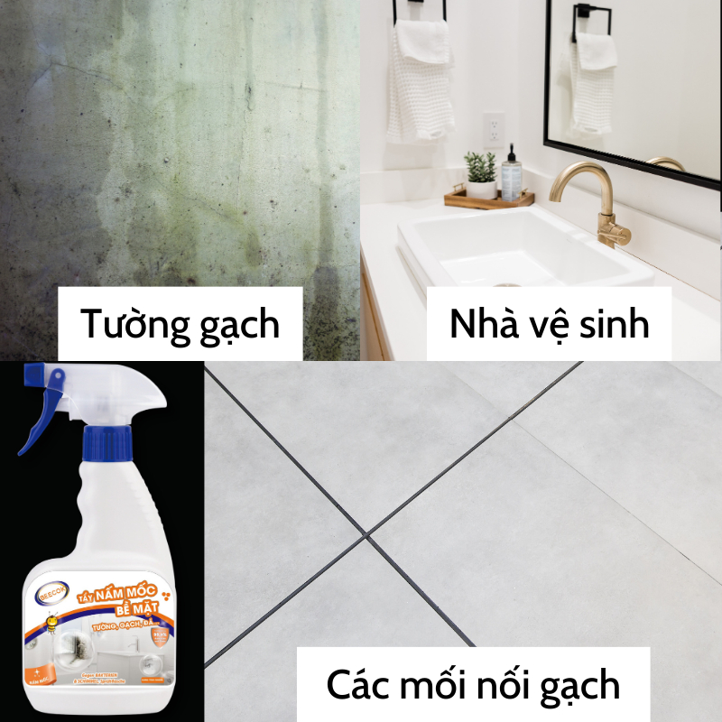 Combo chai xịt tẩy nấm mốc Beecok diệt khuẩn 99,9% 500ml