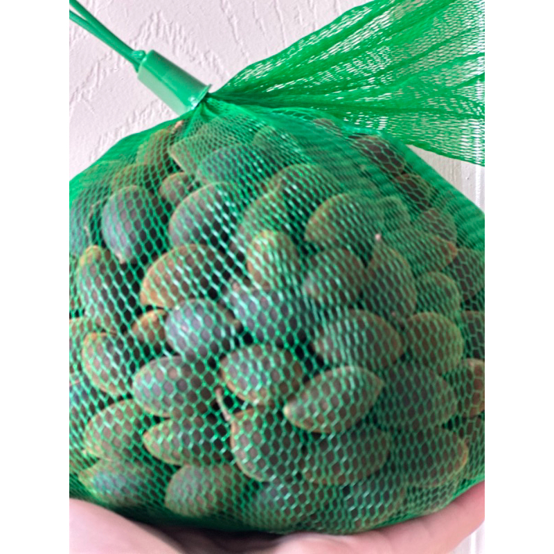 500gr Trái Say Rừng Chua Ngọt Tự Nhiên Loại Chưa Tách Vỏ