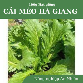 Hạt giống Cải xanh mèo / Cải mèo Hà Giang, cải khổng lồ gói 20g