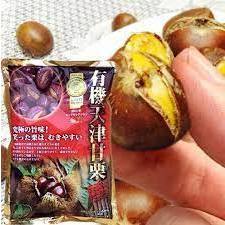 ⚠️T7.2024⚠️ Hạt Dẻ Hữu Cơ Hấp và Tách Vỏ sẵn 260g Osaka Nhật Bản.