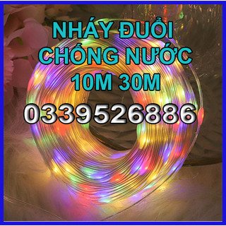Dây đèn Led hạt gạo giọt lệ Fairy Light 10m 220V chạy đuổi, 16 triệu màu trang trí Lễ Tết ngoài trời aRGB
