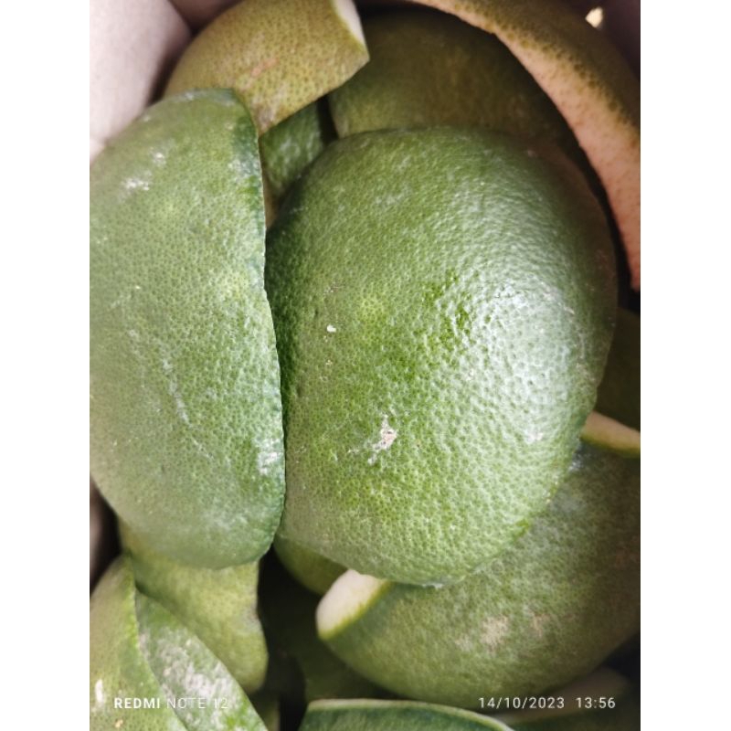 1kg vỏ bưởi tươi