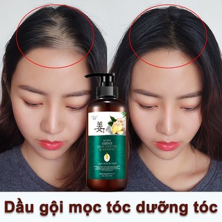 Dầu gội gừng chống rụng tóc dầu gội đầu mọc tóc thảo dược dưỡng sinh kiểm soát dầu loại bỏ gàu