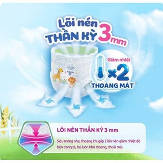 Tặng 8 miếng...Tả quần bobby L96 miếng