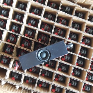 Loa tivi 10W 6R