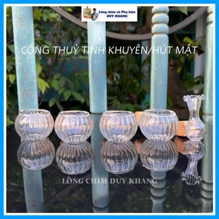 Cóng thuỷ tinh cho lồng chim khuyên, chim hút mật, bộ 5 cóng khía tai tre - phụ kiện lồng chim Duy Khang