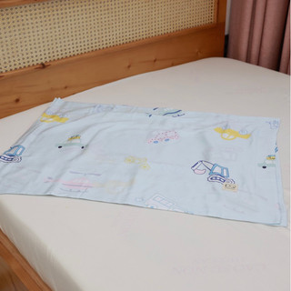 (SALE nhiều họa tiết) 2 VỎ GỐI LỤA TENCEL 60S KT50X70