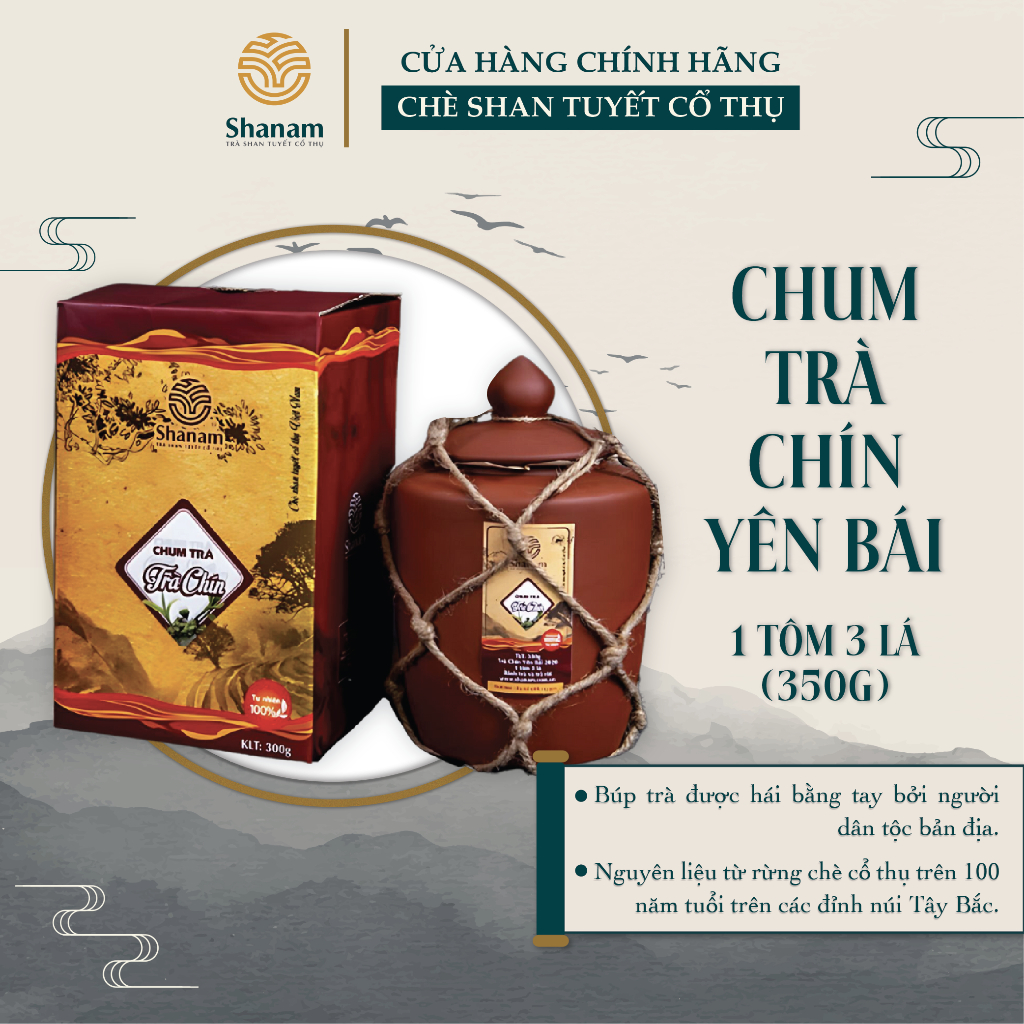 Chum Trà Chín, Trà Shan Tuyết Cổ Thụ Hảo Hạng Yên Bái 1 Tôm 3 Lá 350g - Shanam