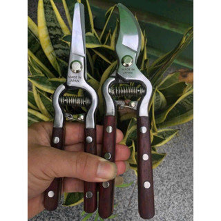 kéo cắt cành bãi nhật thép đúc liền khối siêu sắc