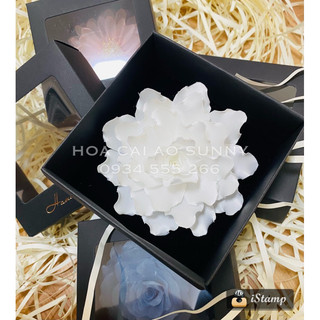 Hoa cài áo Handmade - Sunny MS75